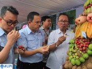 LIPI dan Astra Konservasikan Buah Langka Nusantara
